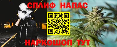 спиды Новозыбков