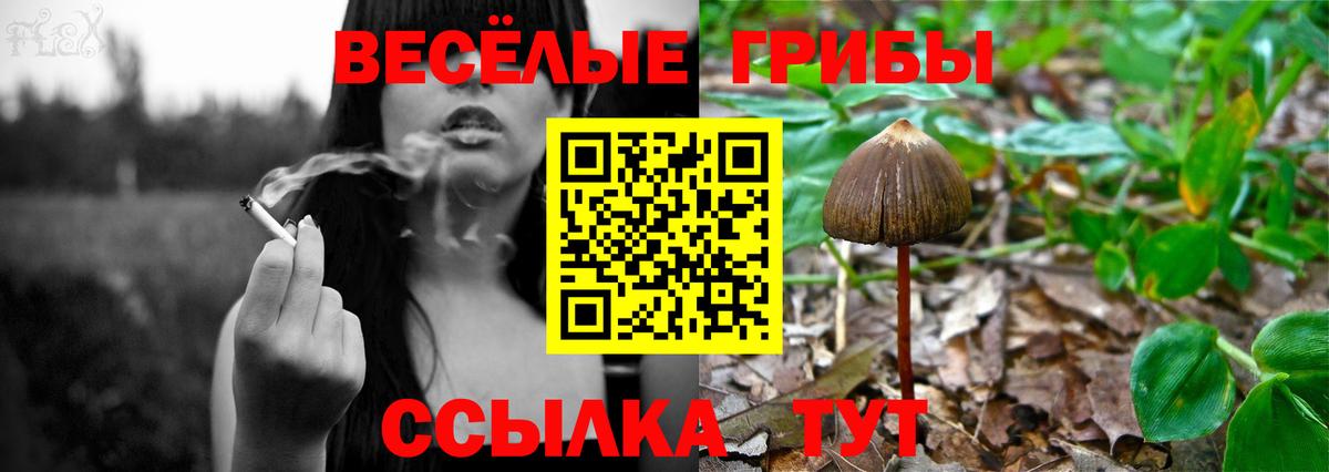 Галлюциногенные грибы мухоморы  Вход с VPN  Псилоцибиновые грибы Magic Shrooms  Тосно 